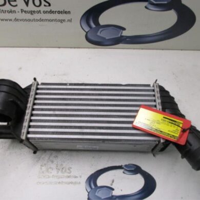 Peugeot 3008 2.0 HDiF 16V Intercooler RHE-RHERH02-RH02 2009 0384N2