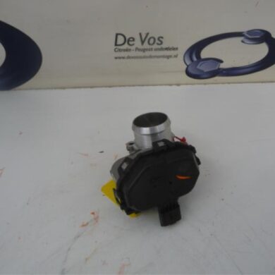 Citroen C3 Picasso  Gasklephuis BHYBH02 2016 9807238580