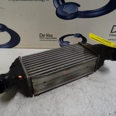 Citroen Jumpy 2.0 HDiF 16V Intercooler RH02-RHHRH02 2015 0384P2