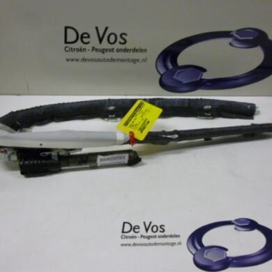 Citroen C4 Picasso 1.6 HDi 16V 110 Hemel Airbag 2009 8216PR