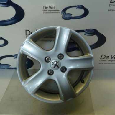 Peugeot 307 2.0 16V Wheel 2005 5402E4