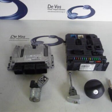 Peugeot 207 1.6 16V Engine management computer 5FW 2008 1943YK-1943YL-194343-194344