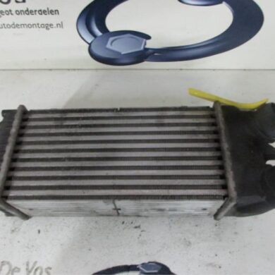 Citroen Picasso  Intercooler 9HZ-9HX9H02 2008 0384G5