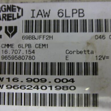 Citroen C4 Picasso 2.0 16V Autom. Computer Motormanagement RFJ 2007 1942XL-1942XN