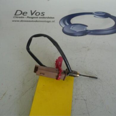 Peugeot Expert 1.6 HDi 90 Sensor (overige) 2012 9677662080