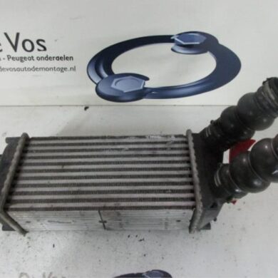 Citroen C4 Picasso 1.6 HDi 16V 110 Intercooler 9HZ 2007 0384H5