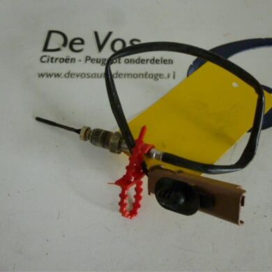 Peugeot 208 1.4 HDi Sensor (overige) 2013 1618NF