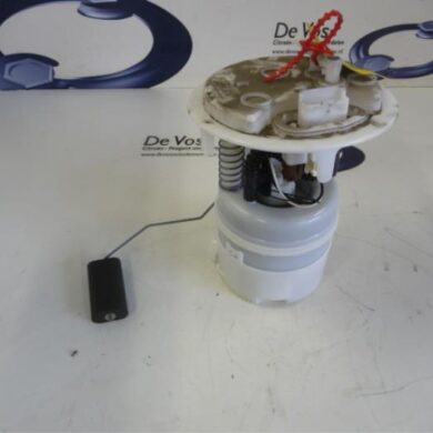 Peugeot 308  Electric fuel pump 8FR-8FR8F01 2010 1525NQ