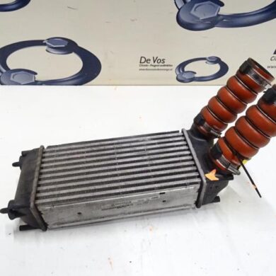 Peugeot RCZ  Intercooler 5FV-5FV5F02 2010 1440S8