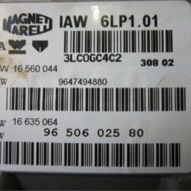 Peugeot 307 2.0 16V Computer Motormanagement RFN 2003 194039