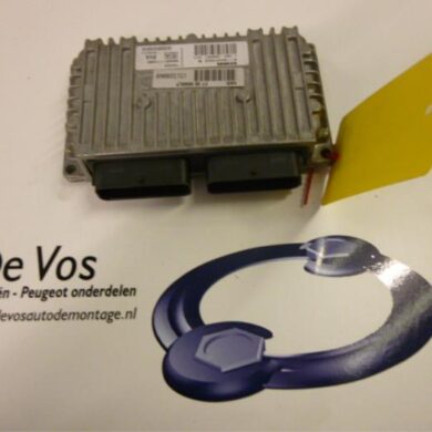 Citroen C5 2.0 16V Automatic gearbox computer RFN 2003 2529WE 20TS03