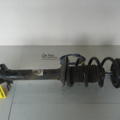 Citroen Jumper 2.2 HDi 100 Euro 4 Schokdemperpoot links-voor 2009 5208L2-5202XH