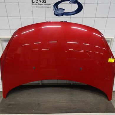 Peugeot 307  Bonnet 2006 7901L9