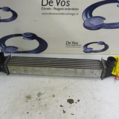 Peugeot Bipper  Intercooler FHZ 2012 0384L7