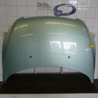 Peugeot 307 2.0 HDi 110 FAP Bonnet 2003 7901J0