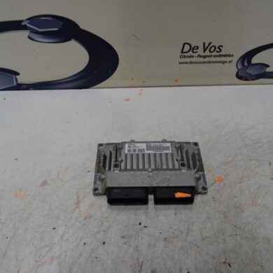 Peugeot 307  Computer Automatische Bak RFJ 2007 2529Z9 20TS25