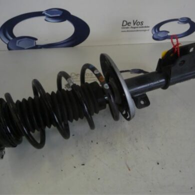 Citroen C4 Picasso 1.6 e-HDi 115 Schokdemperpoot links-voor 2014 1612743580-9810920480