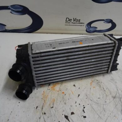 Peugeot Partner  Intercooler 9HP-9HP9H06 2011 0384N9