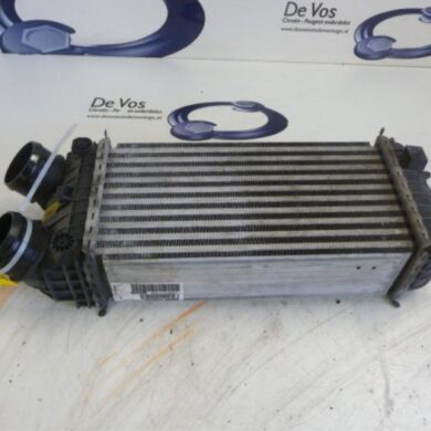 Citroen DS3  Intercooler 5FV5F02 2013 9803145480