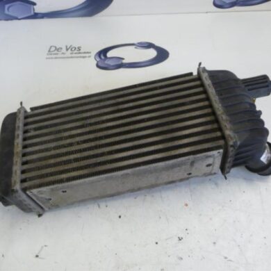 Peugeot Expert  Intercooler 9HU 2008 0384K4