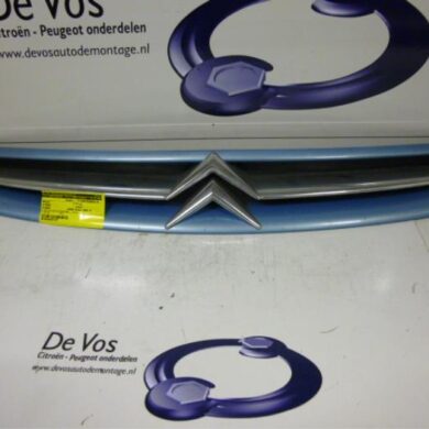 Citroen Picasso  Grille 2001 7804J7