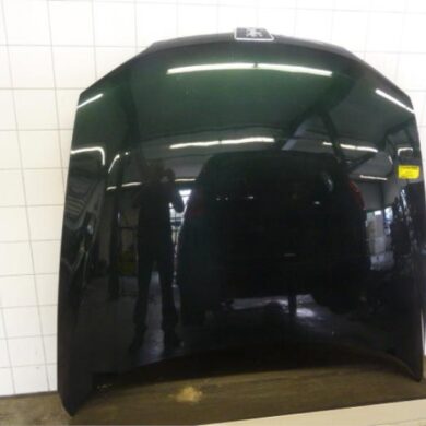 Peugeot 406 3.0 V6 24V Motorkap 2001 7901J2