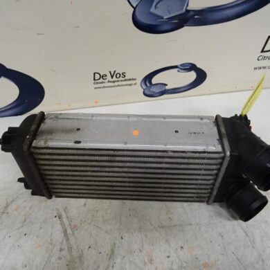 Peugeot RCZ  Intercooler 5FS5F02-5FV5F02 2010 1440S8