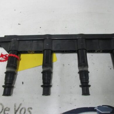 Peugeot 206  Bobine 2004 597085