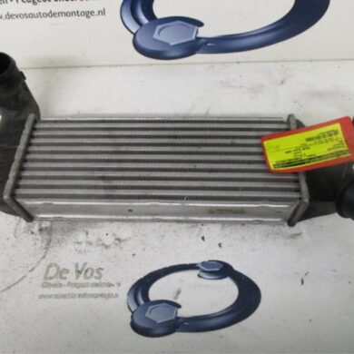 Peugeot 807 2.2 HDiF 16V Intercooler 4HW 2003 0384G0