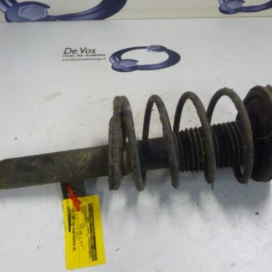 Peugeot 206 1.4 16V Front shock absorber rod, left 2006 5202LZ