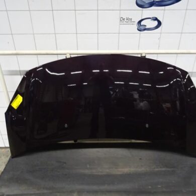 Citroen DS3  Bonnet 2015 7901R1