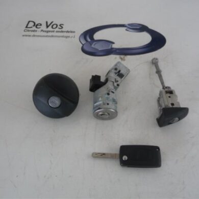 Citroen C3 Picasso 1.6 HDi 16V 90 Slotenset Cilinder (compleet) 2009 4162SV