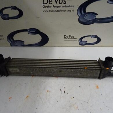 Peugeot Bipper  Intercooler FHZ 2012 0384L7