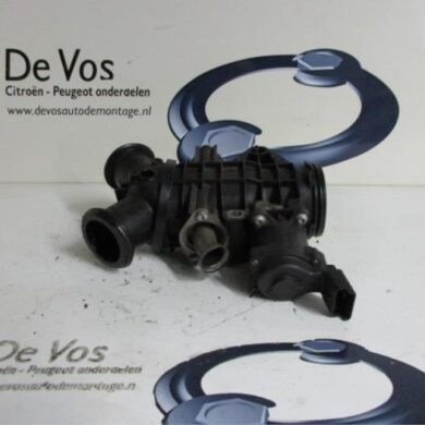 Peugeot 407  Throttle body UHZ 2006 163613