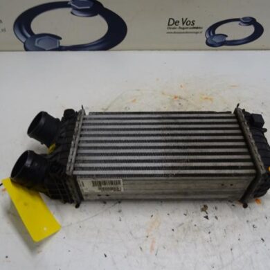 Citroen DS3  Intercooler 5FV5F02 2013 9803145480