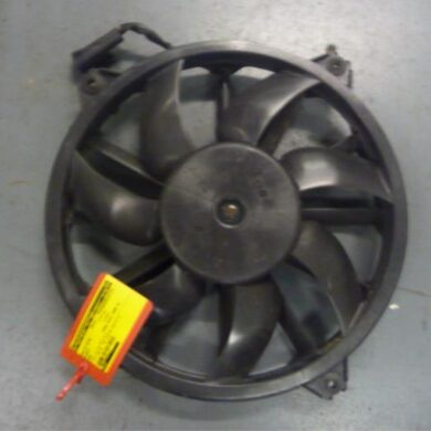 Peugeot 3008 1.6 HDiF 16V Kühlgebläse Motor 2009 1253K4