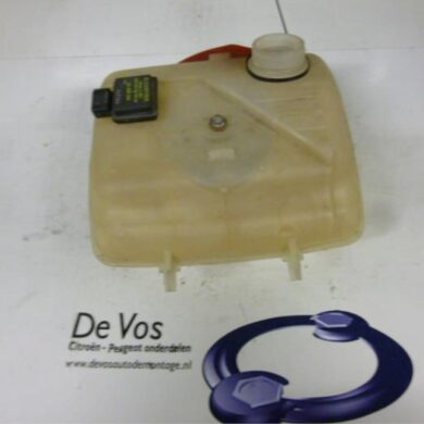 Peugeot Expert 2.0 HDi 110 Expansion vessel 2004 1307ST