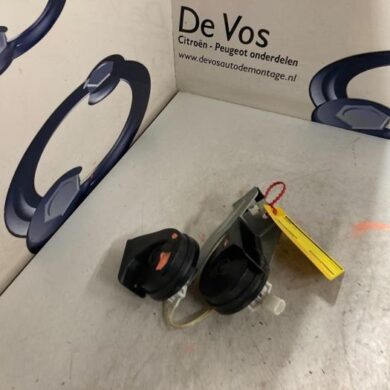 Peugeot 3008  Horn 2017 9815870780