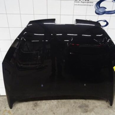 Peugeot 407 2.2 16V Bonnet 2006 7901K7