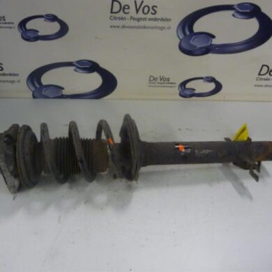 Citroen Jumper 3.0 HDi 160 Euro 4 Front shock absorber rod, left 2009 5208L4-5202ZL