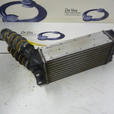 Citroen DS4  Intercooler 9HD9H05 2013 0384N9