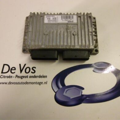 Peugeot 307 1.6 16V Computer Automatische Bak NFU 2006 25290C-2529T5 20TS12