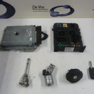 Citroen C5  Steuergerät Motormanagement X8ZX801-X8Z 2010 194431-194432