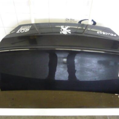 Peugeot 407  Tailgate 2005 860686