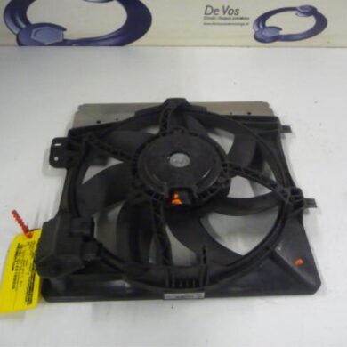 Peugeot 208  Koelvinhuis 2012 9675280980-1253P8