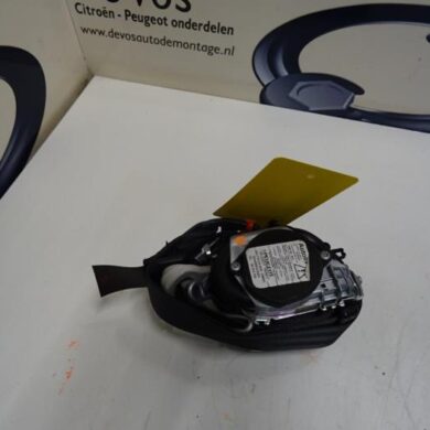 Peugeot 207  Gurtsrammer rechts 2012 8975CA