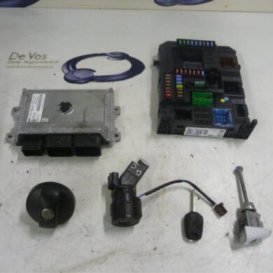 Peugeot 208  Engine management computer ZMZ-ZMZZM01 2013 1608084980