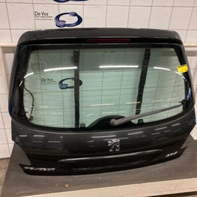 Peugeot 206 1.4 XR,XS,XT,Gentry Achterklep 2005 8701R5