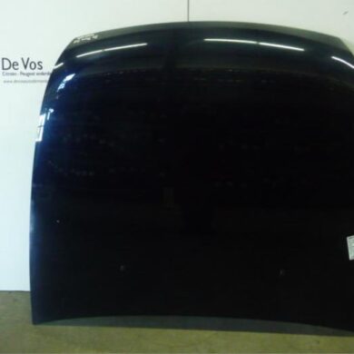Peugeot 607 2.0 HDiF 16V Bonnet 2007 7901L2