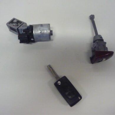 Citroen C4 Picasso 2.0 HDiF 16V 135 Slotenset Cilinder (compleet) 2007 4162KC